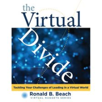 The_Virtual_Divide